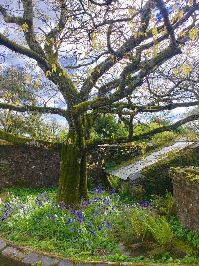 Minane Bridge Willowhill House المظهر الخارجي الصورة