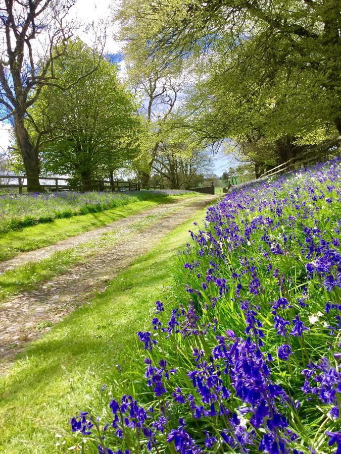 Minane Bridge Willowhill House Bed And Breakfast المظهر الخارجي الصورة