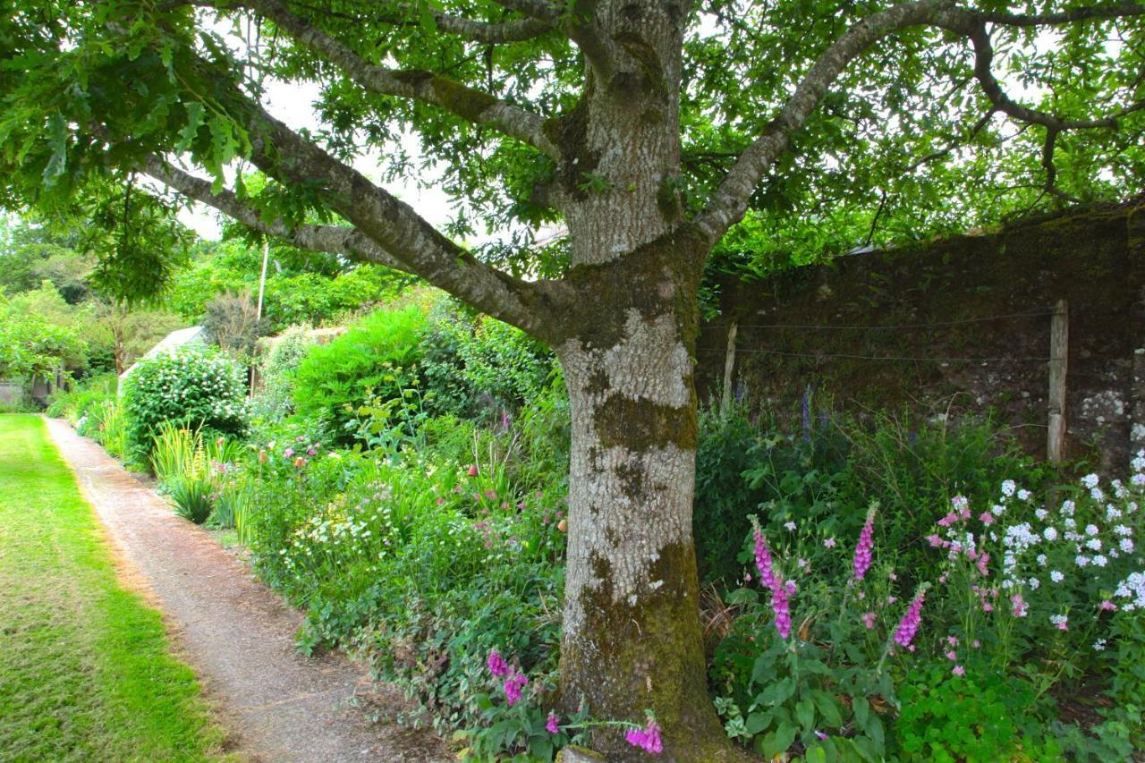 Minane Bridge Willowhill House Bed And Breakfast المظهر الخارجي الصورة